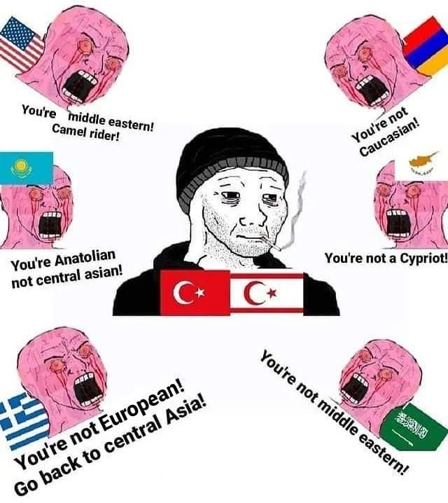 Kimlik İnşası İçin Çağdaş Bir Araç Olarak İnternet Mimlerinin Kullanımı